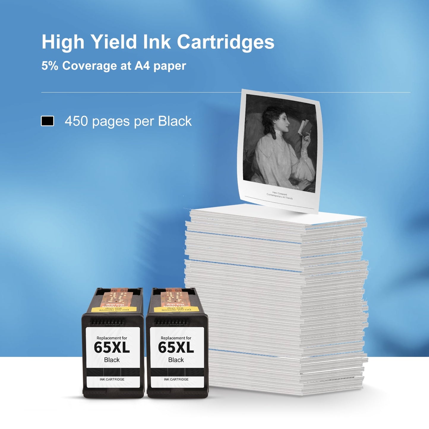 65 Black Ink Cartridge Compatible for HP ink 65 XL 65XL for DeskJet 3752 3772 3755 Envy 5055 5010 5020 Printer (2 Black)